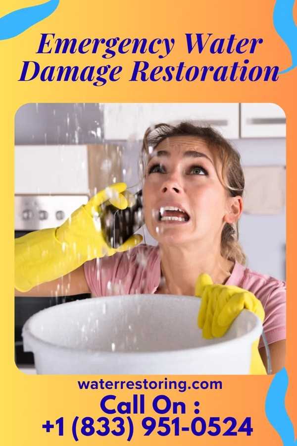 Emergency Water Damage Restoration in Rico, CO